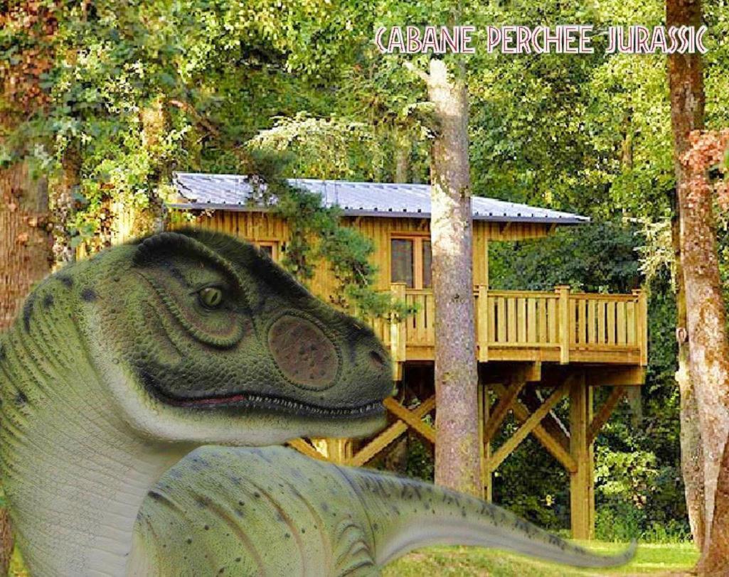 Cabane Perchee Jurassic Piscine, Spa Et Hammam Proche Des Gorges De L'Aveyron Lavaurette Buitenkant foto